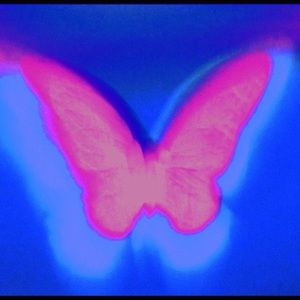 Meet your Posher, Via